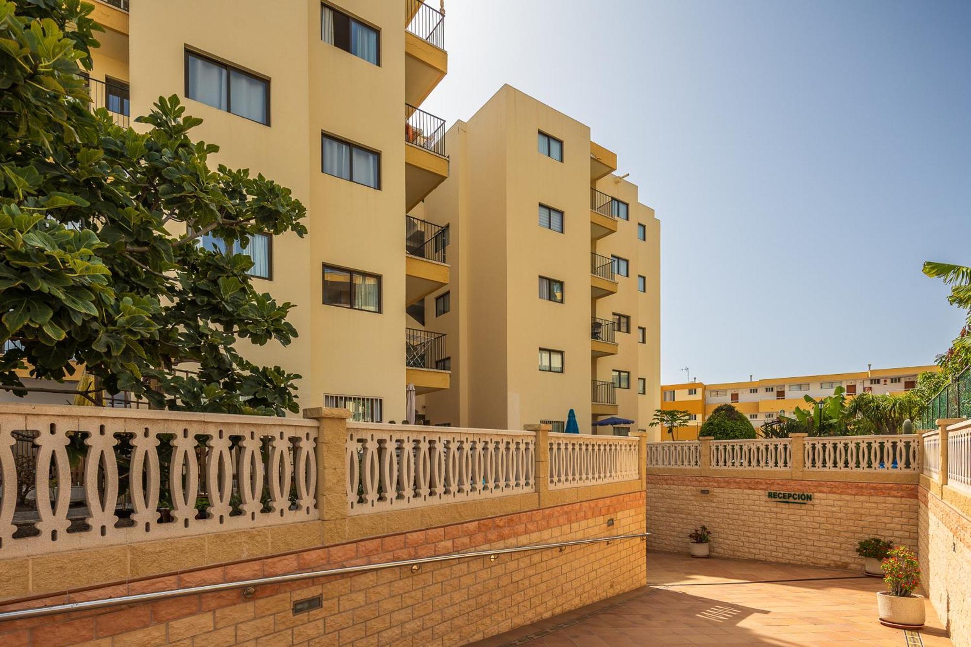 Apartament Ficus *