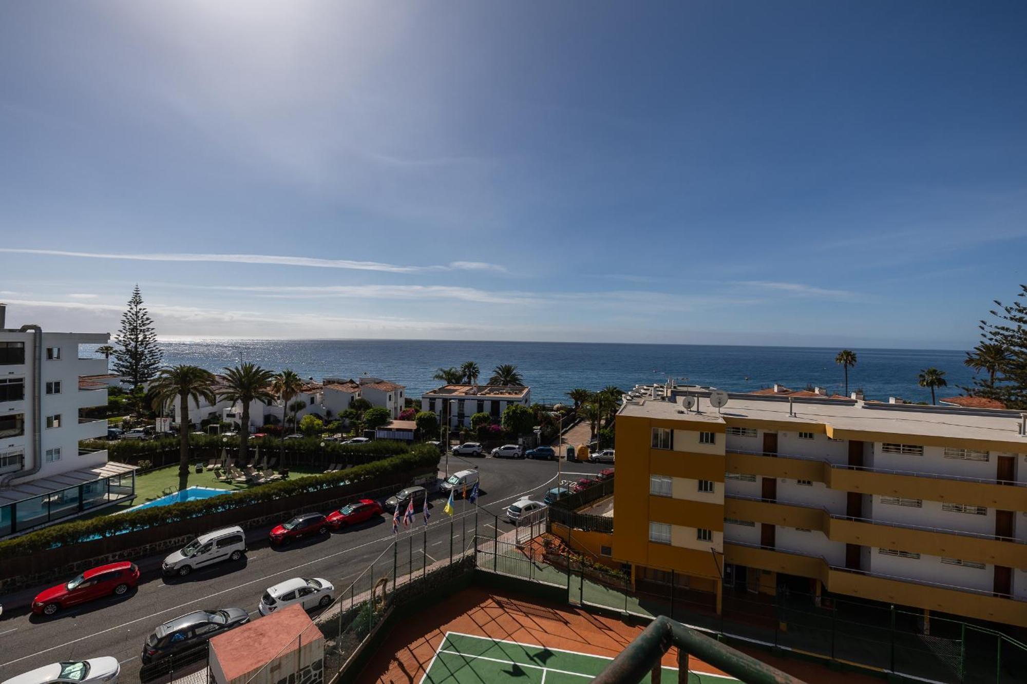 Ficus Playa del Ingles (Gran Canaria)